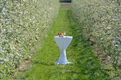 Lebensmittelpunkt Efi