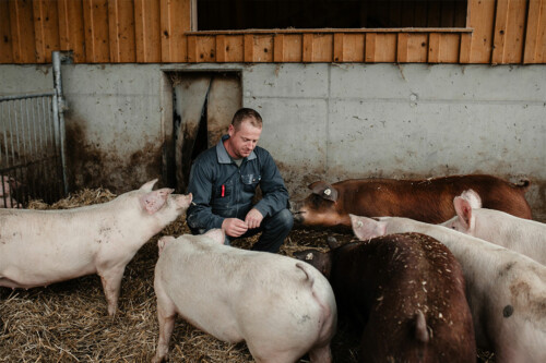 Lebensmittelpunkt Efi