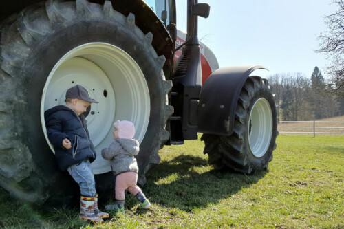 Lebensmittelpunkt Efi