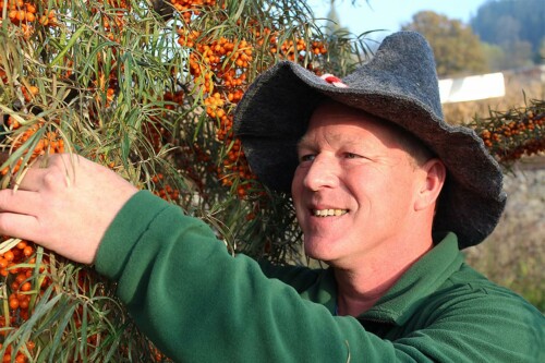 Lebensmittelpunkt Efi