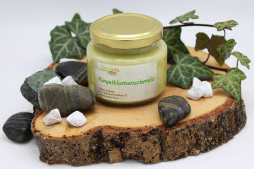 Lebensmittelpunkt Efi