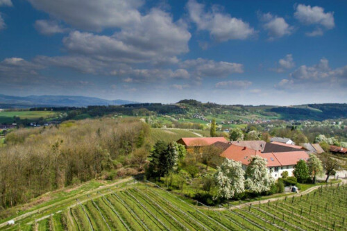 Lebensmittelpunkt Efi