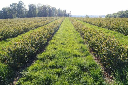 Lebensmittelpunkt Efi