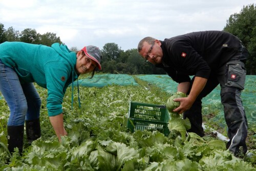 Lebensmittelpunkt Efi