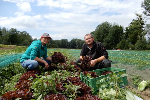 Lebensmittelpunkt Efi