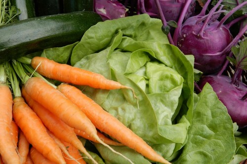 Lebensmittelpunkt Efi