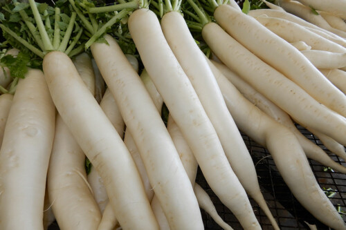 Lebensmittelpunkt Efi