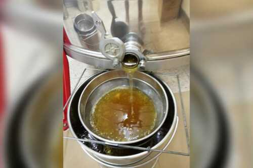 Lebensmittelpunkt Efi