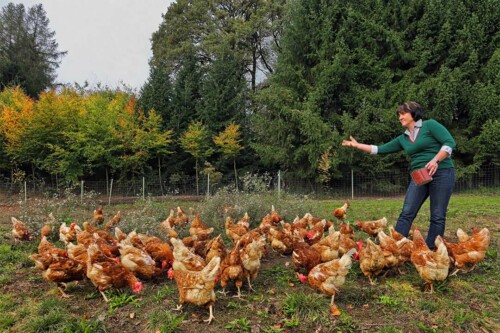 Lebensmittelpunkt Efi